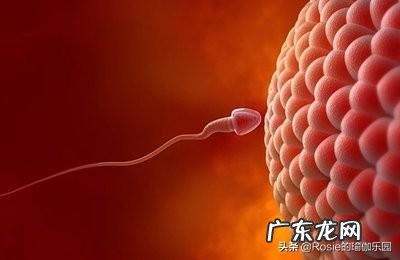 备孕期间该如何运动-备孕期间保持身材的方法