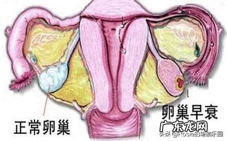 备孕期间该如何运动-备孕期间保持身材的方法