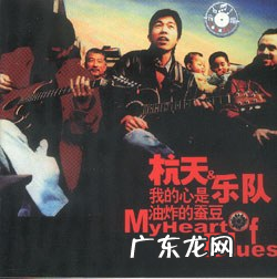 丁太升的成长史过程 草莓音乐节创始人是谁