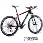 捷安特山地自行车 山地自行车推荐