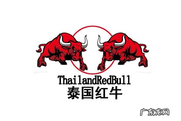 十大功能饮料品牌排行榜 功能性饮料有哪些品牌好