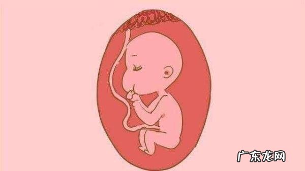 女性多少岁生孩子比较合适-备孕的黄金时刻