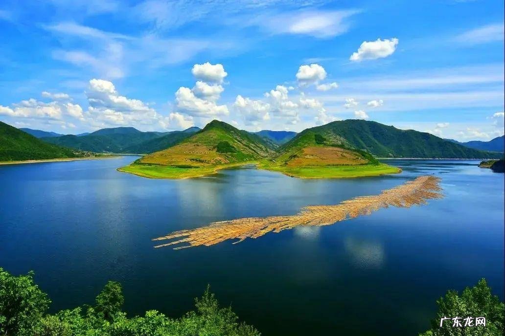 有机农业的标准是什么？中国有机农业发展前景如何？