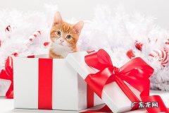 超级推荐基础出价是怎么计算的？计算方式介绍！