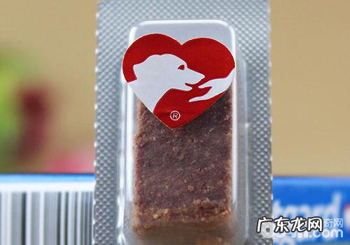 怎样判断小狗是不是有裂头蚴