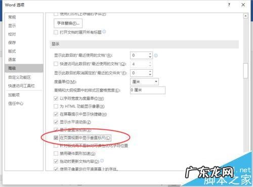 水平标尺和垂直标尺的视图? Word2016中怎么显示垂直标尺