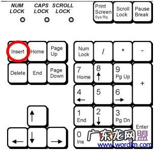 打字被覆盖怎么处理? Word打字覆盖了怎么办