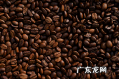 拼多多企业店铺怎么升级为旗舰店？旗舰店是正品吗？