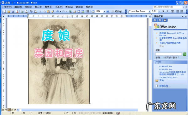 word表格插照片变成一个小条？ word怎么插入图片