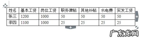工资条表格式怎么制作? word如何快速制作工资条