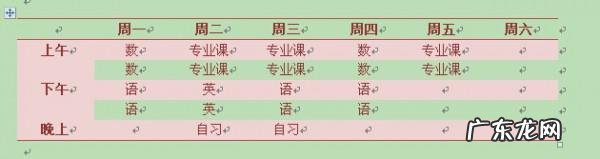 新手怎么制作word表格? word怎么绘制简单的表格