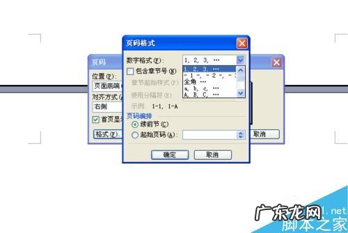 word文档怎样编辑页码? word文档怎么标注页码呢?