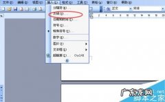 word文档怎样编辑页码？ word文档怎么标注页码呢?