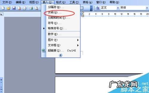 word文档怎样编辑页码? word文档怎么标注页码呢?