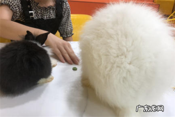 成都商场购物中心排名 成都商场有哪些