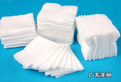 小狗腿瘸了吃什么有益于恢复