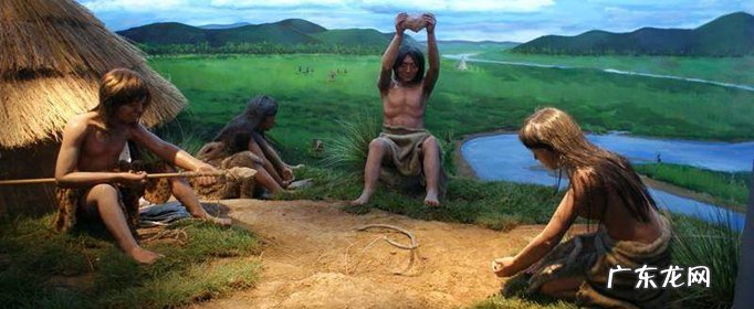 地球上有哪些人类族群?