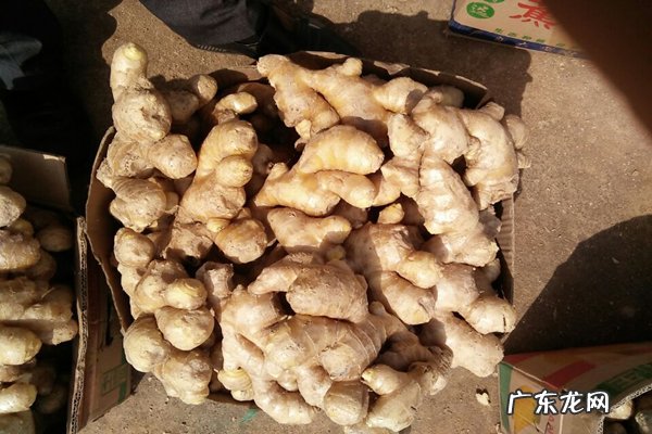 拼多多卖生姜需要多少保证金?卖生姜怎么卖?