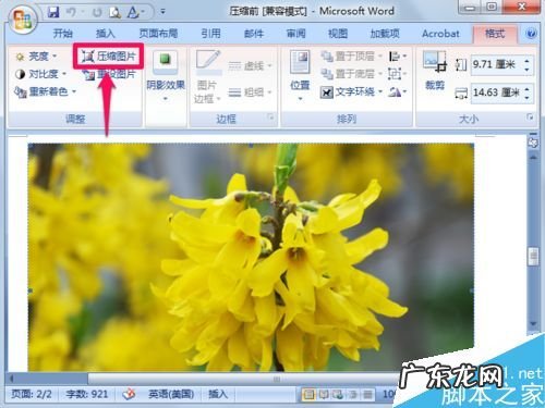 word压缩怎么能压到最小? word图片压缩的方法