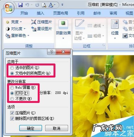 word压缩怎么能压到最小? word图片压缩的方法