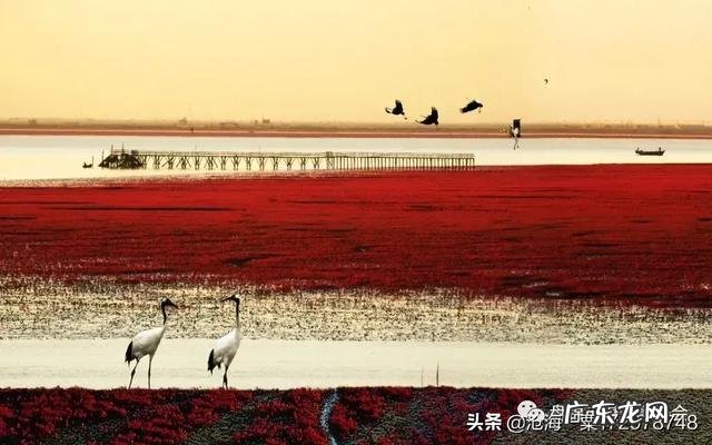 你敢不敢发一张最丑的自拍照