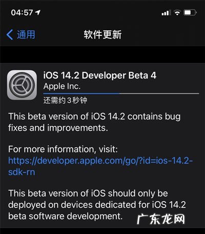 强制删除苹果描述文件？ iOS14.2beta4描述文件下载