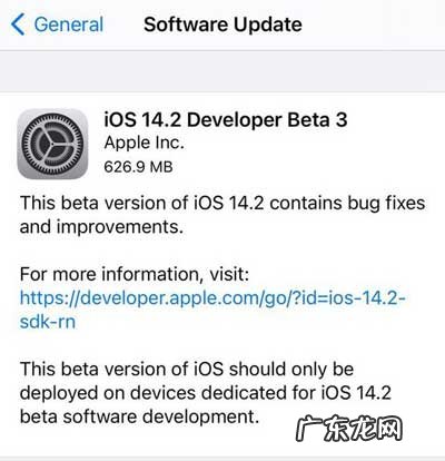 苹果描述文件下载地址? iOS14.2beta3描述文件下载