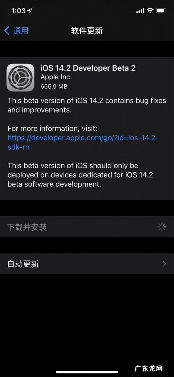 iosbeta版网站？ iOS14.2beta2更新了什么