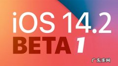 强制删除苹果描述文件？ iOS14.2beta1描述文件怎么下载安装