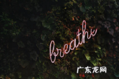 拼多多上传短视频有收益吗？如何制作视频？