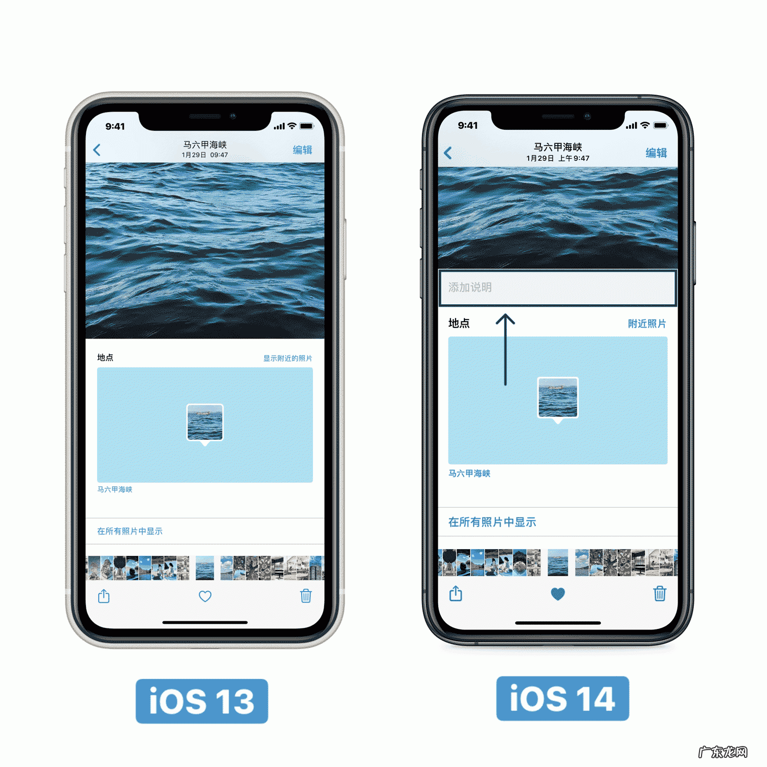 ios相机软件? iOS14的相机和相册有什么变化