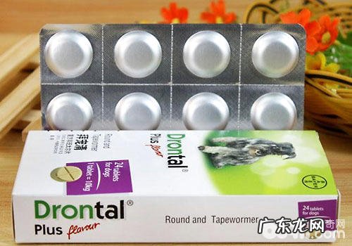 拜宠清选购时要注意什么?