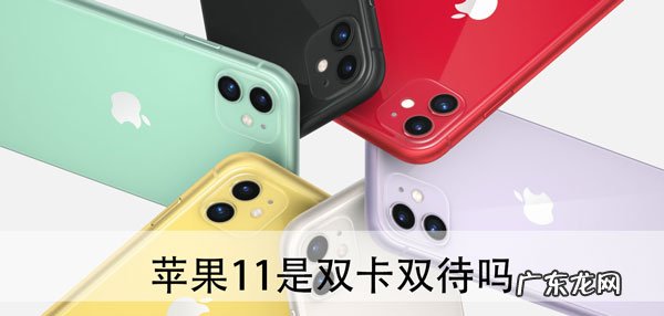 苹果11是双卡双待吗