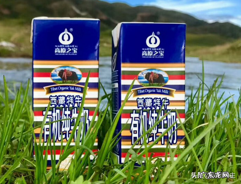 盘点全国各地国产牛奶 现代牧业牛奶好不好