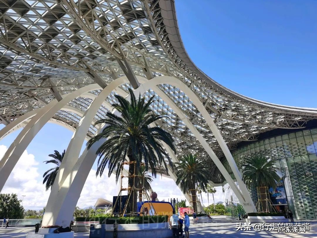 三亚机场免税店有哪些品牌?三亚机场免税店什么值得买?