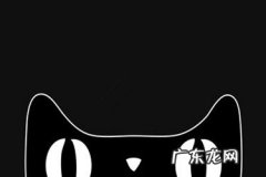 天猫小黑盒怎么推广？入驻条件是什么？