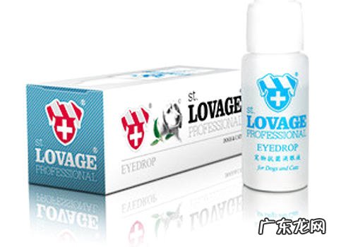 小狗得角膜炎怎么处理