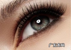 男人左眼跳是什么预兆十二点左右 左眼跳是什么预兆男人