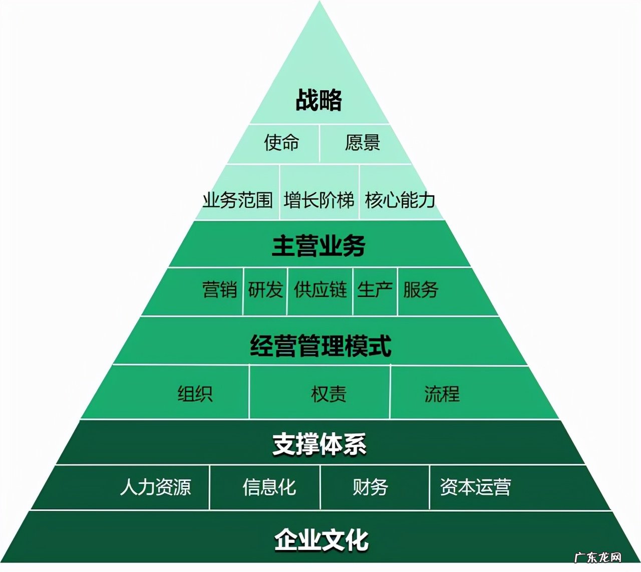 公司的管理理念五大内容 企业管理知识有哪些内容