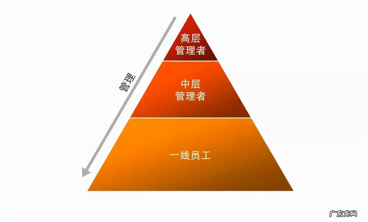公司的管理理念五大内容 企业管理知识有哪些内容