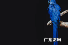 拼多多店铺logo图片可以改吗？要注意什么？