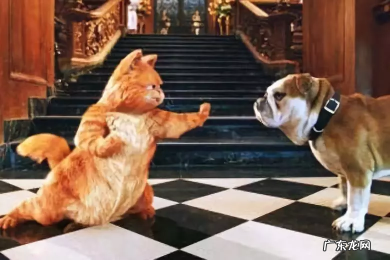 互联网都是怎么赚钱的 移动互联网盈利模式有哪些