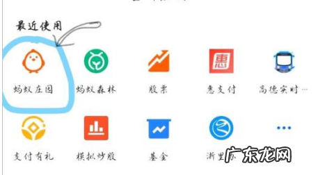 95公益周怎么领饲料?平时如何领取更多饲料?