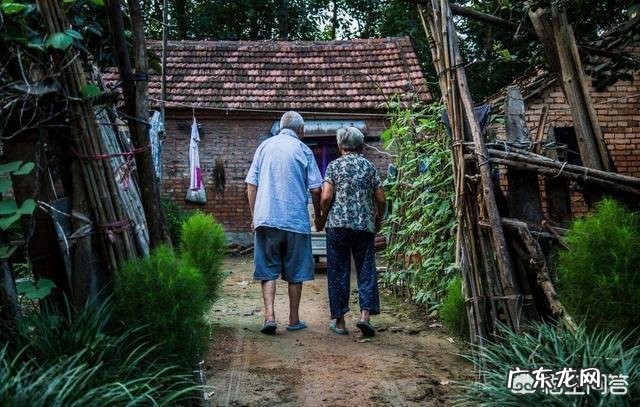 被称为“长寿之地”的地方有哪些?