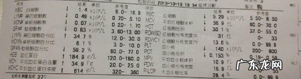 一例松狮串犬的口炎病例分析