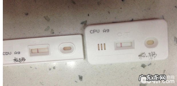 一例松狮串犬的口炎病例分析