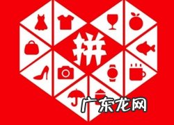 拼多多怎么查看店铺编号?怎么获得?