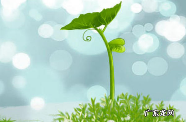 淘宝评论如何加精?怎么操作?