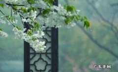 清醒梦境是什么意思 清醒梦境