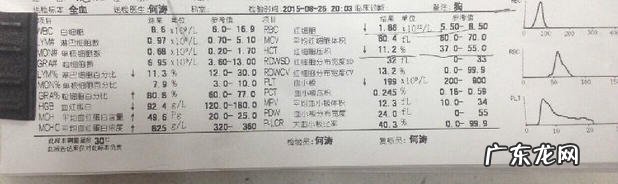 一例金毛的肠套叠整形术